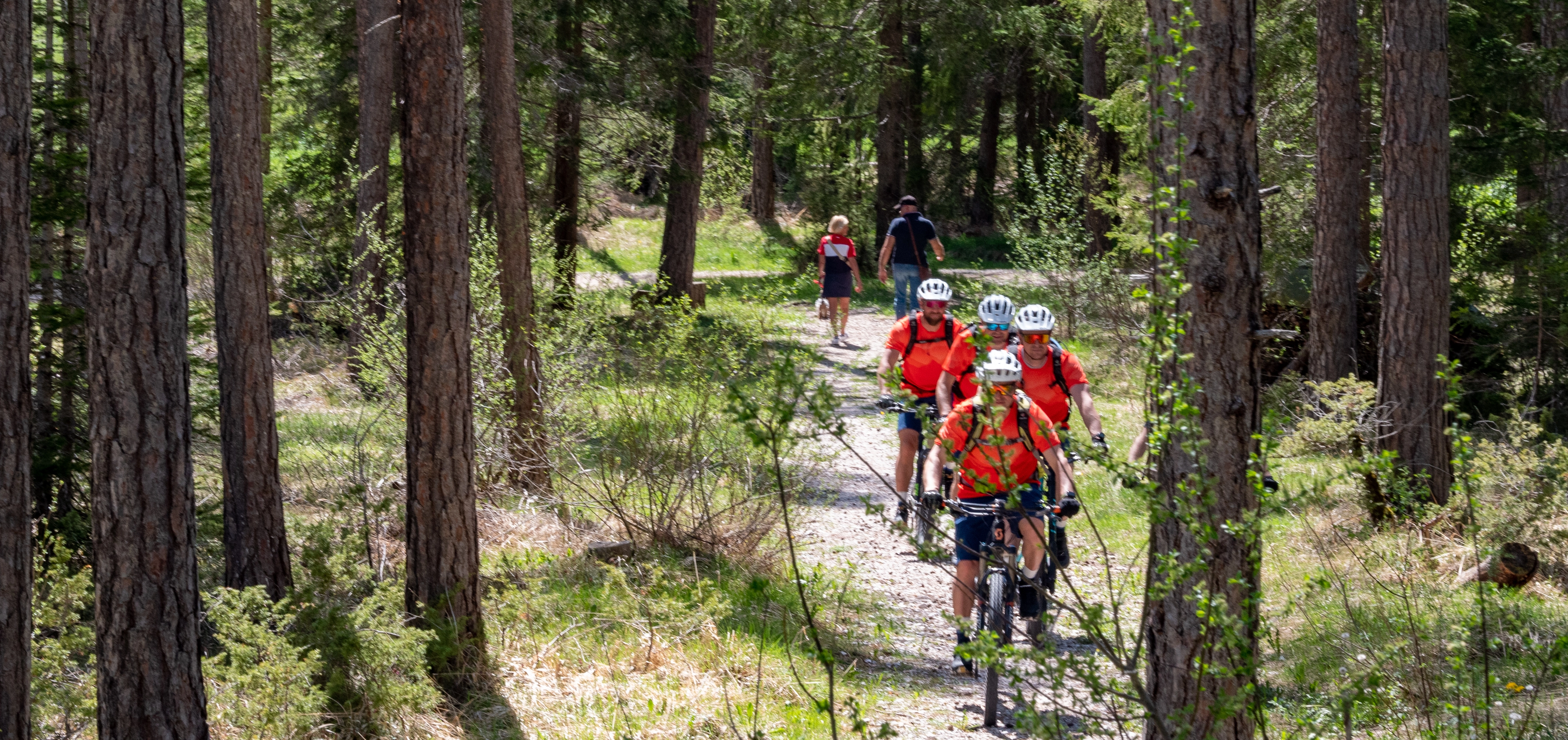 Unsere Bikeguides finden die richtige Tour für euch, auch Waldtouren können sehr entspannend sein